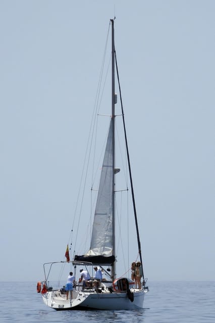 Marbella: sunset sailboat trip Drinks-Snacks,2 hour - The Experience of Sailing with Dolphinsmarbella