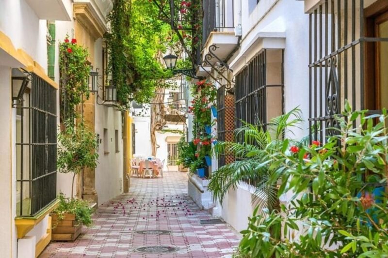 Marbella : Walking Custom Tour with a Local Guide - Language Options and Accessibility