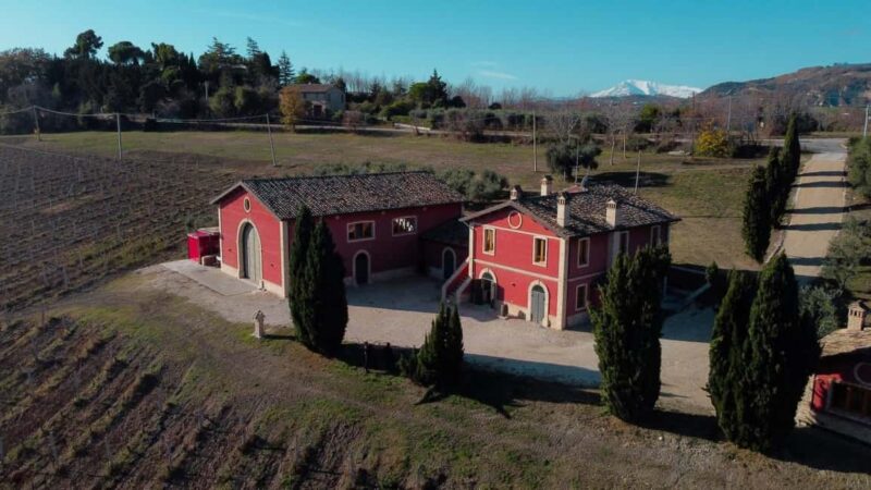 Marche: a unique visit and tasting at the D'Erasmo Winery among signature wines - Visiting Cantina DErasmo in the Marche Hills