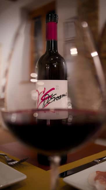 Marche: a unique visit and tasting at the D'Erasmo Winery among signature wines - The Warm Welcome and Expert Guidance