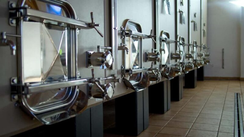 Marche: a unique visit and tasting at the D'Erasmo Winery among signature wines - Frequently Asked Questions