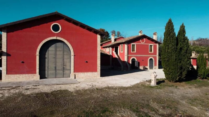 Marche: Tasting and Tour of Local Wines and Flavors at the D'Erasmo Winery - The Experience for Different Visitors