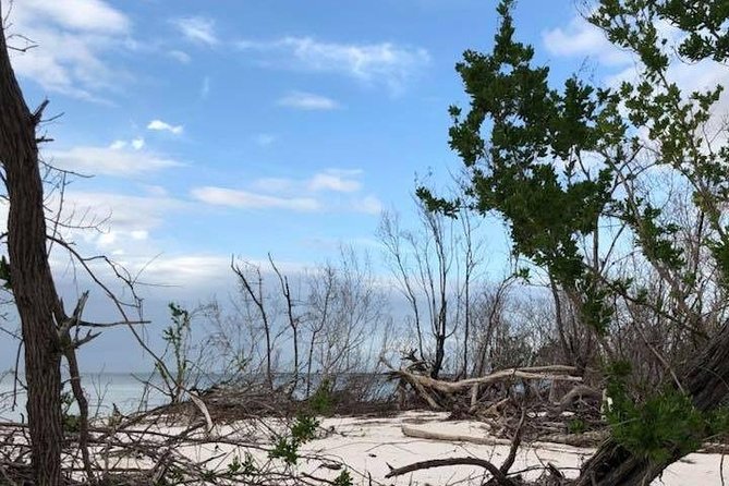 Marco Island 2 hour Dolphin, Birding and Shelling tour - Logistics of the Tour and Meeting Point