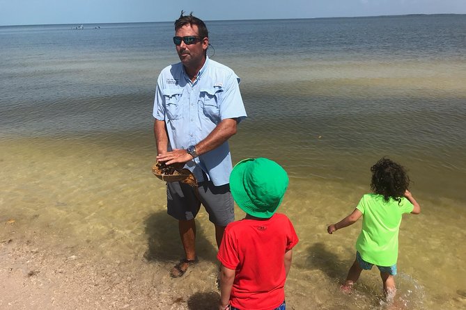 Marco Island: 2-Hour Dolphin, Birding, and Shelling Tour - Logistics and Group Size for a Personalized Experience