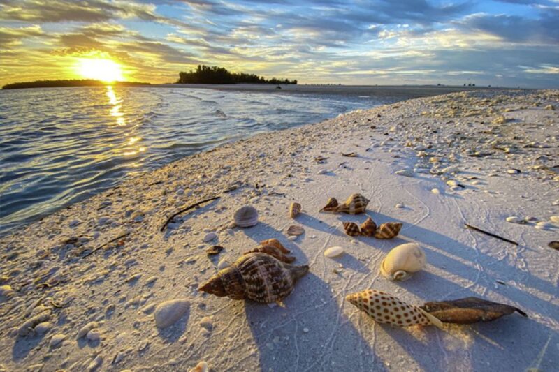 Marco Island: 2 Private Hour Sunset Boat Tour - Seashell Collection and Beach Strolling