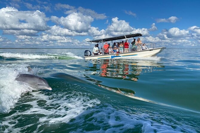 Marco Island Dolphin Sightseeing Tour - Captain Marco and the Guides’ Expertise