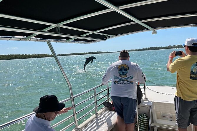 Marco Island Dolphin Sightseeing Tour - Additional Wildlife Encounters and Shelling