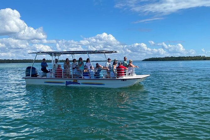 Marco Island Dolphin Sightseeing Tour - Logistics and Booking Details