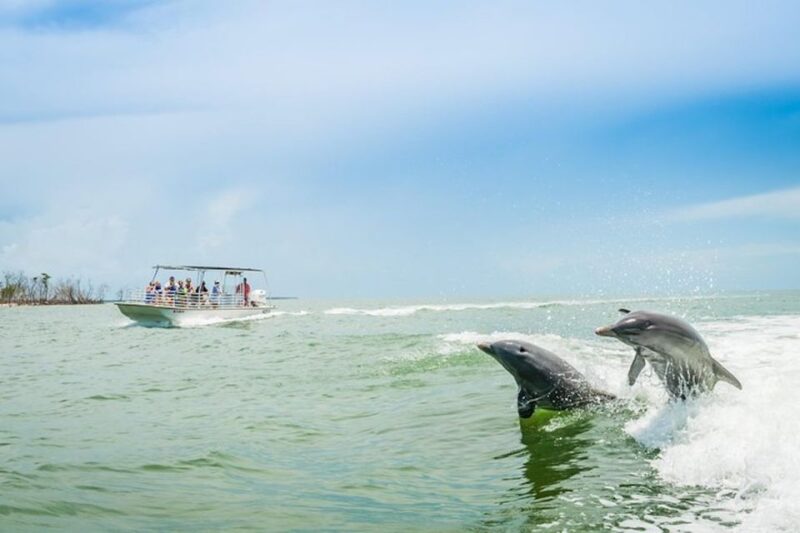 Marco Island: Dolphin-Watching Boat Tour - Navigating Among the Ten Thousand Islands and Marco Island
