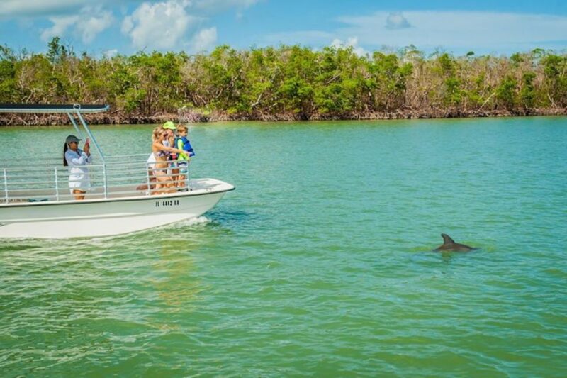 Marco Island: Dolphin-Watching Boat Tour - The Sum Up: A Memorable Wildlife-Focused Boat Tour