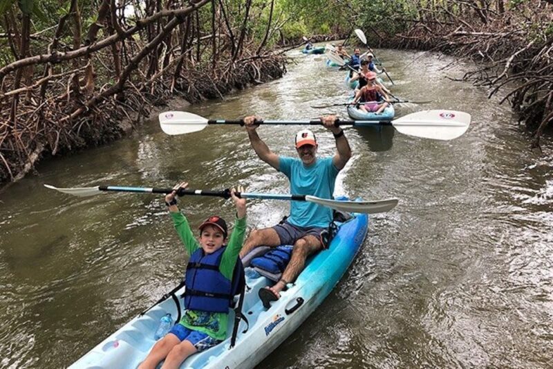 Marco Island: Kayak Mangrove Ecotour in Rookery Bay Reserve - Exploring the Pristine Mangrove Forests