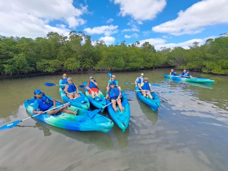 Marco Island: Kayak Mangrove Ecotour in Rookery Bay Reserve - Guided by Knowledgeable Biologists and Naturalists