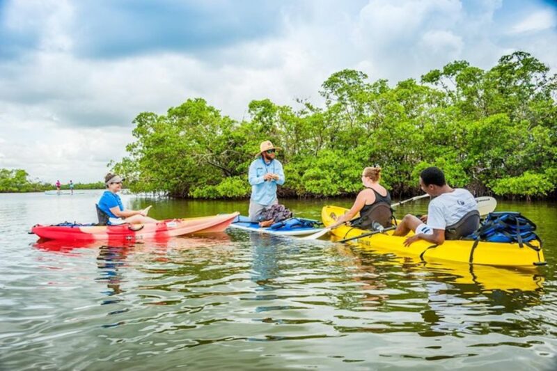 Marco Island: Kayak Mangrove Ecotour in Rookery Bay Reserve - Optimal Timing and Group Size for a Personal Experience