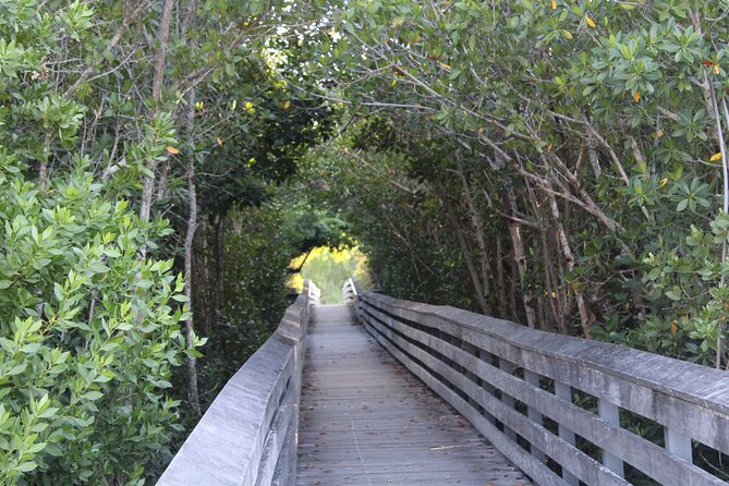 Marco Island Photography Experience - Starting Point at Tigertail Beach for a Scenic Photo Tour
