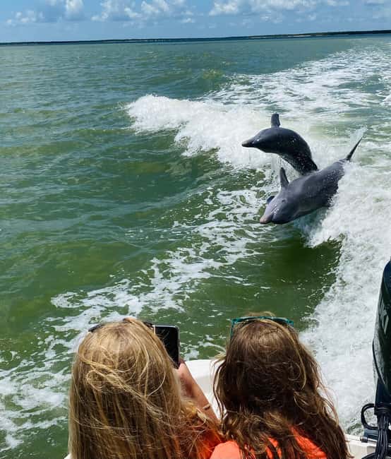 Marco Island: Private Shelling & Dolphin Excursion - Shelling on Outer Barrier Islands