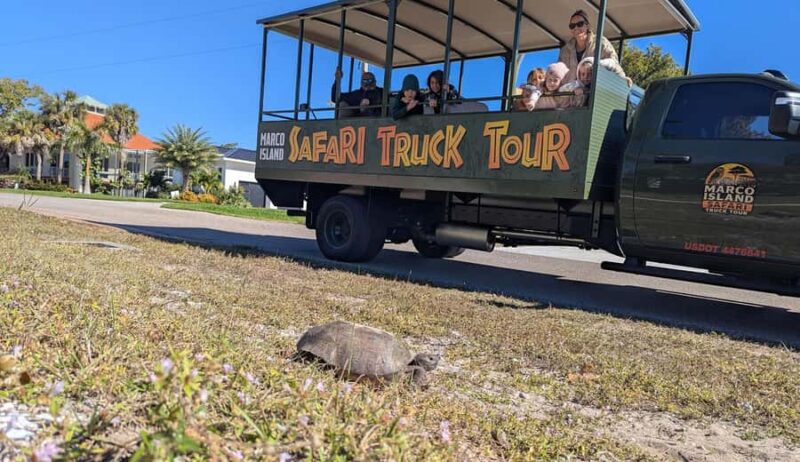 Marco Island: Safari Truck Tour - Family-Friendly Features and Kid Activities