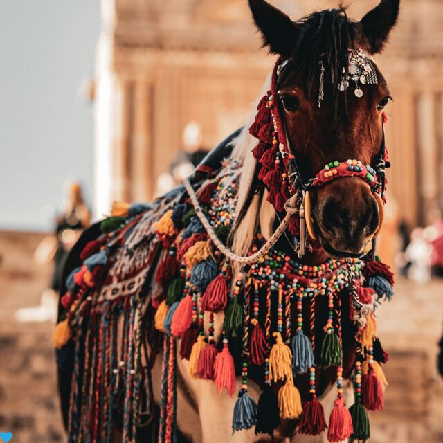 Mardin Private Old Town City Tour - Included and Excluded Services