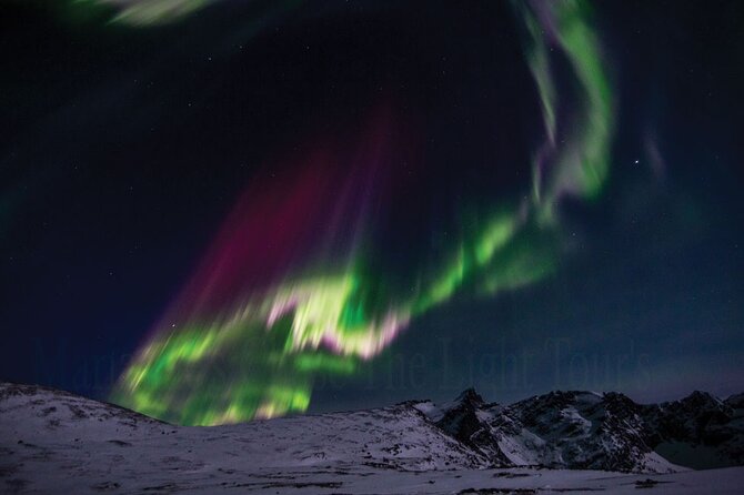 Mariannes Heaven On Earth Aurora Chaser Tours - Prime Viewing Locations in the Tromso Fjords