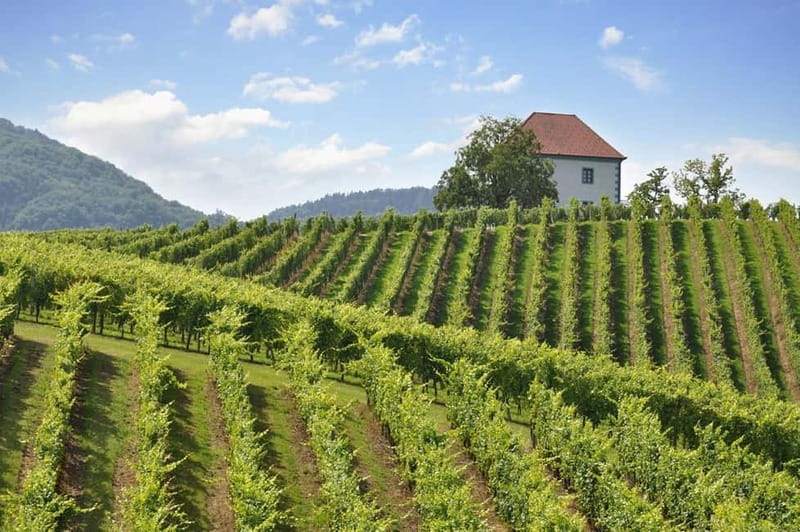 Maribor & Styria Tour with Wine Tasting - Why Choose This Slovenia Day Trip?