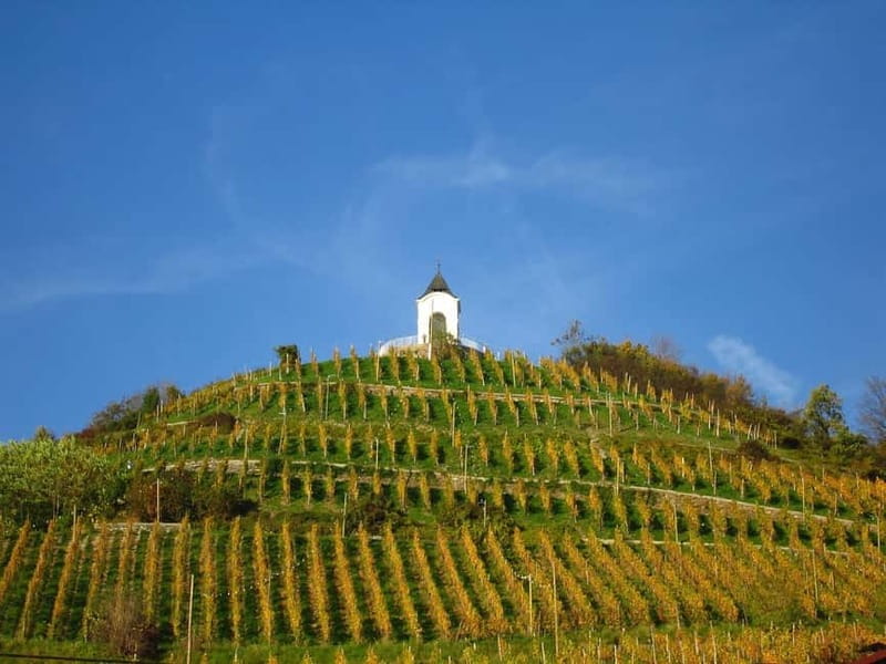 Maribor & Styria Tour with Wine Tasting - Final Thoughts on the Maribor & Styria Tour with Wine Tasting