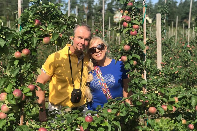 Mariehamn Private Guided Walking Tour - Price and Value for Money