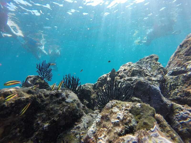 Marietas Islands Safari - Practical Details and Recommendations
