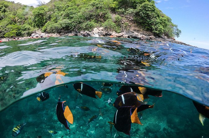 Marietas Islands Sailing Private Tour - 8 Hours of Paradise - Comfortable Hotel Drop-off in Puerto Vallarta