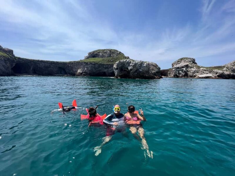 Marietas Islands: snorkeling safari with local guide - Speedboat Transfer to the Marietas Islands