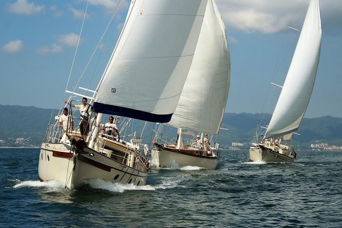 Marietas Sail, Snorkel and Beach - Who Should Book This Tour?