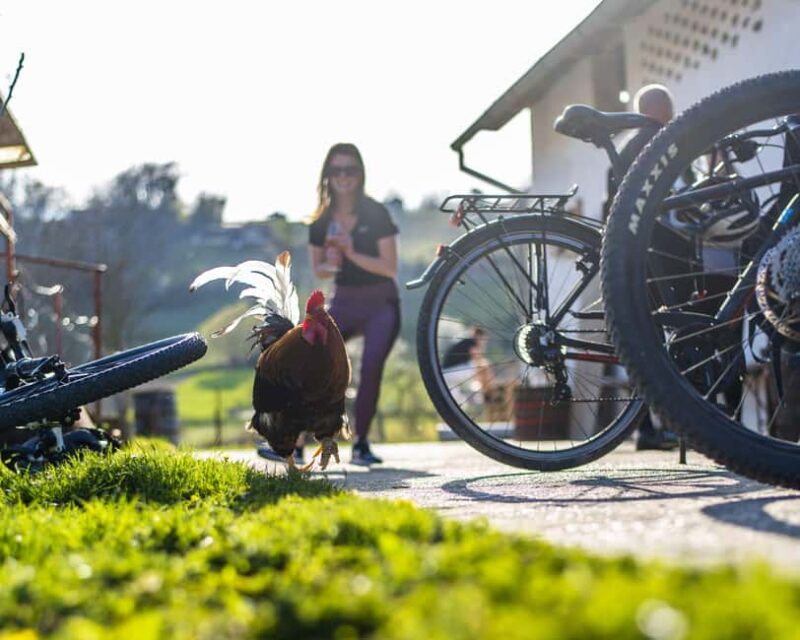 Marija Bistrica: E-bikes to the Wineries of Zlatar City - Optional Visit to the Church Near Zlatar