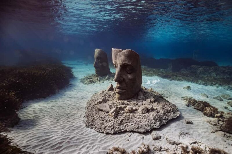 Marina Baie des Anges boat trip to the Pelagos Sanctuary - Picnic Break by the Lérins Islands or Cap d’Antibes