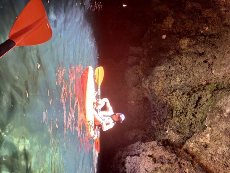Marina de Lagos: Ponta da Piedade Kayaking Tour - Discover the Coast of Ponta da Piedade on a Kayaking Tour from Lagos
