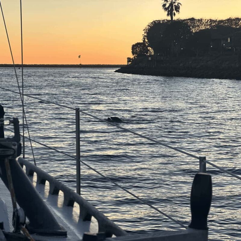 Marina del Rey: 1-Hour Boat Tour - Timing and Booking Flexibility