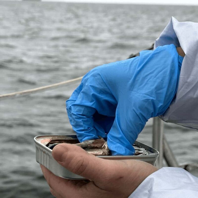 Marina del Rey: 1-Hour Boat Tour - Frequently Asked Questions