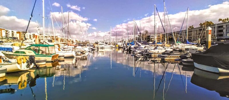 Marina Del Rey: A Romantic Boat Cruise with Sushi & Wine - Wildlife Sightings and Marine Views in Marina del Rey