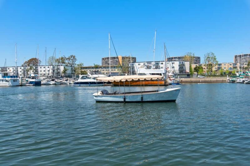 Marina del Rey Duffy Picnic Cruise on the Water w Sea Lions - Eco-Friendly Electric Duffy Boat for a Quiet Ride