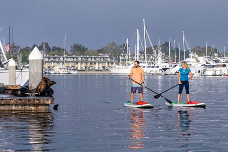 Marina del Rey: Guided Kayak & Paddleboard Tour - Booking and Flexibility with Reservations