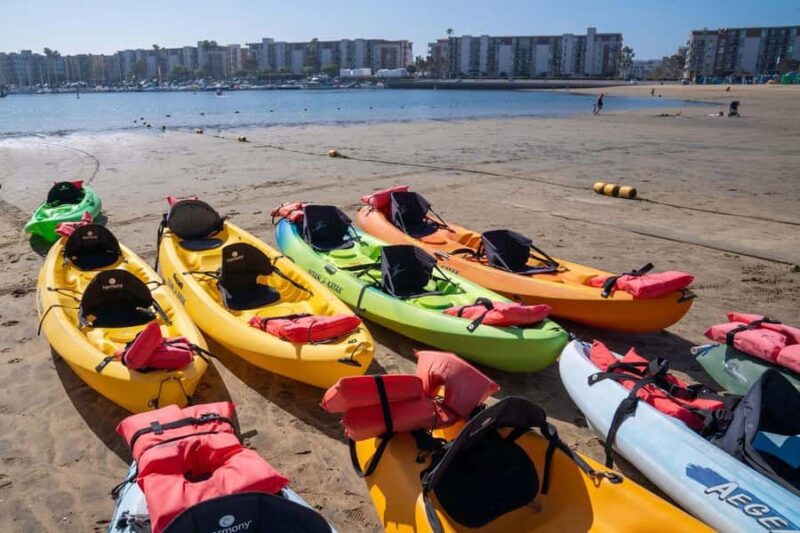Marina del Rey: Single or Tandem Kayak Rental Experience - Group Size and Booking Flexibility