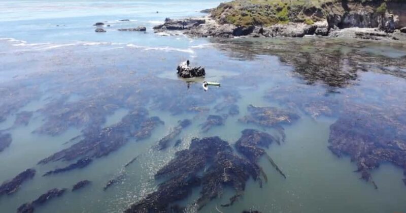 Marina Way: Kayaking Adventure with TV Star Gary Golding - Paddle Through Crystal-Clear Waters