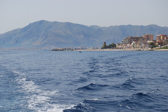 Marine Reserve of Isola delle Femmine Capo Gallo - The Experience of the Crew and Guides