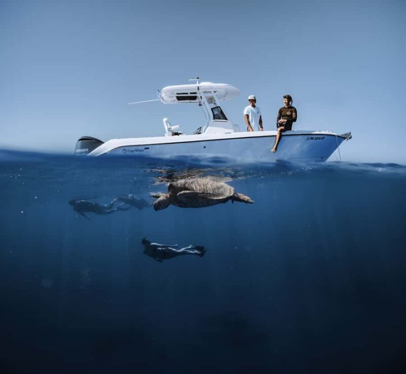 Marine Wildlife Snorkel Tour: SeaTiger Shipwreck & Sharks - Departing from Hawaii Apex Charters in Oahu