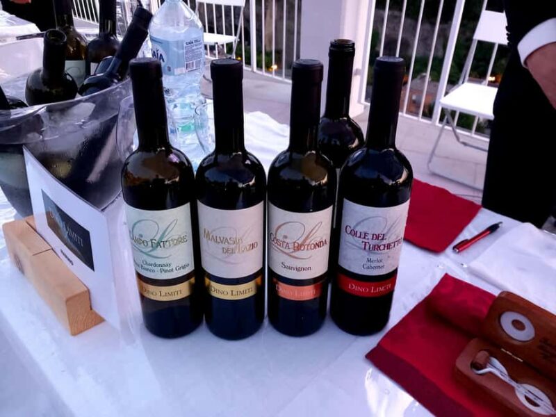 Marino: Visit to the Historic Winery and Tasting - Wine Tasting Paired with Local Culinary Specialties