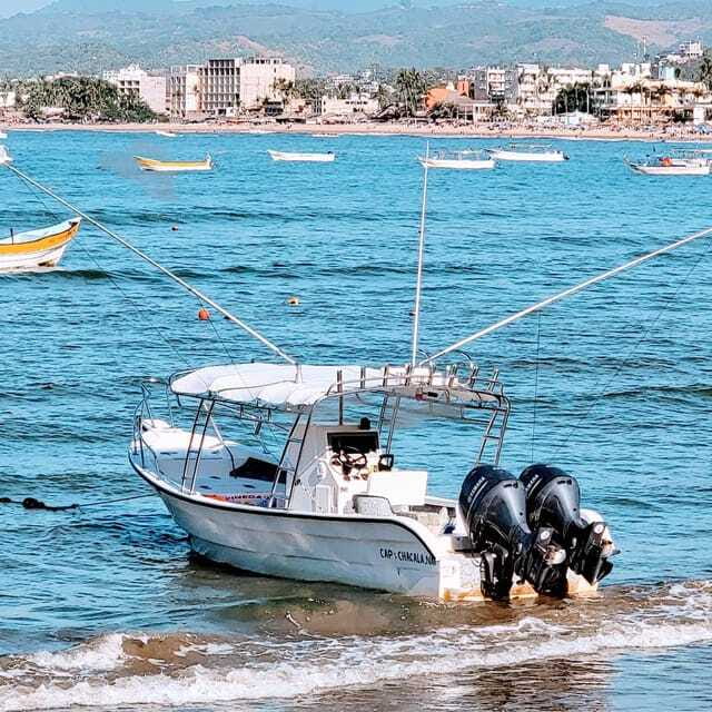 Marlin fishing in guayabitos - Scenic Islands and Bay Tour Highlights