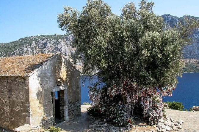 Marmaris Aegean Islands Boat Trip With Lunch & Unlimited Drinks - Photographing Rabbit Island’s Large Population of Rabbits
