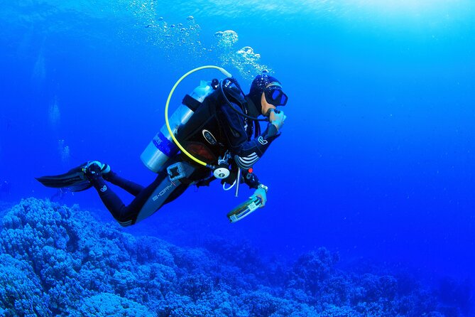 Marmaris Full Day Scuba Diving Two Dives With Lunch Hotel pickup - Logistic Details and Booking Recommendations