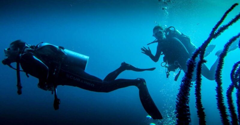 Marmaris: Scuba Diving Experience with 2 Dives and Lunch - Key Points