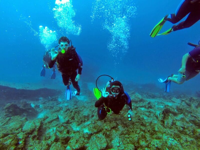 Marmaris: Scuba Diving Experience with 2 Dives and Lunch - Experience for Non-Divers and Spectators