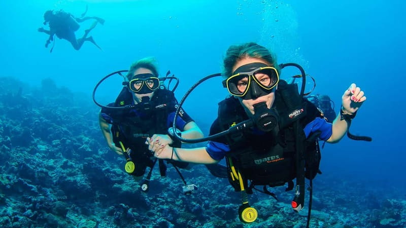 Marmaris: Scuba Diving, Incl. 2 Dive, Lunch w/Hotel Transfer - Post-Dive Relaxation and Return to Marmaris