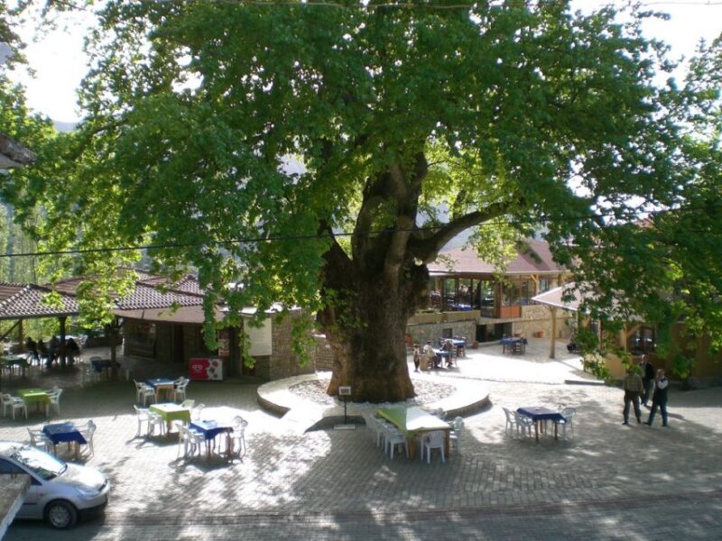 Marmaris Village Tour, Turgut Waterfalls and Mermaid Sand - Marmaris Village Tour: A Balanced Day of Culture and Nature