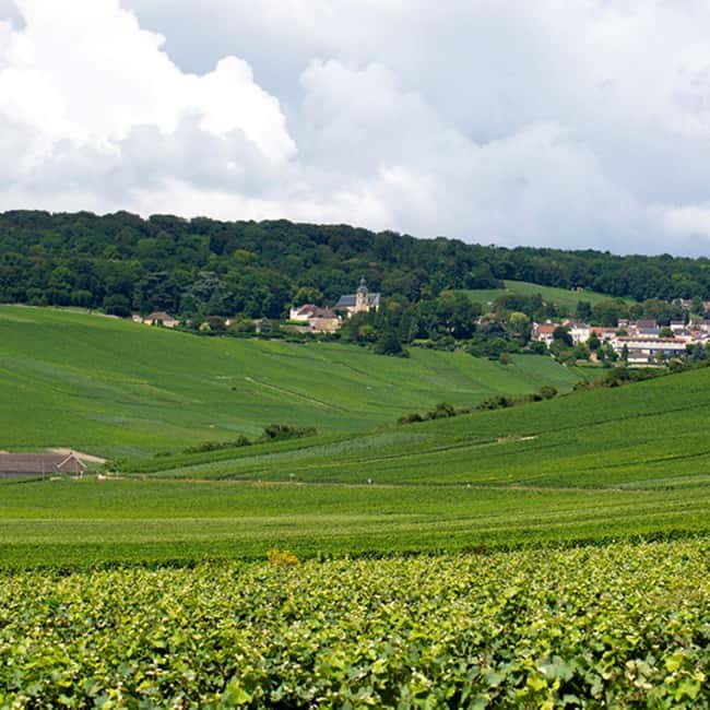 Marne: Champagne Region Private Day Tour with Lunch - Discover the Champagne Region on a Private Day Tour with Lunch